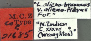 Media type: image; Entomology 21685   Aspect: labels